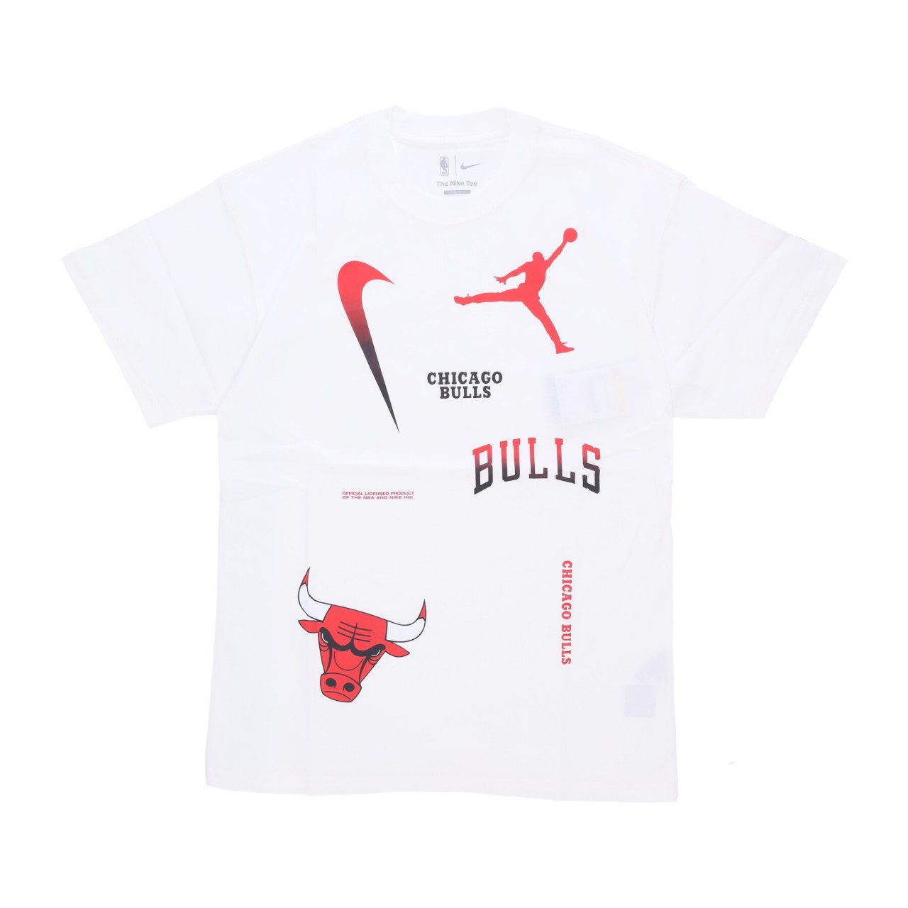 NIKE NBA NBA COURTSIDE STATEMENT MAX90N TEE CHIBUL DV5716