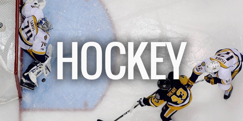 media/image/nhl-hockey-ice-bruins-ducks-canadiens-penguins-rangers-banners-playoffsOAvTAqhJjTKZV.jpg
