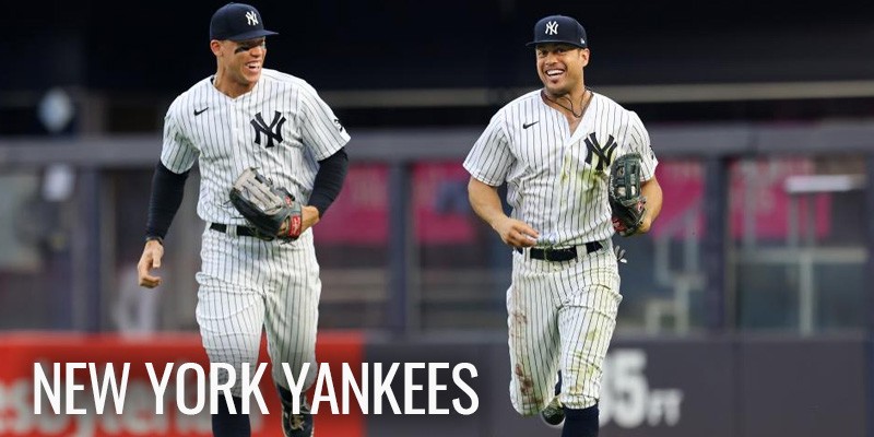 media/image/new-york-yankees-grass-ball-catch-baseball-mlb-teamk65CoqI9YRhxN.jpg